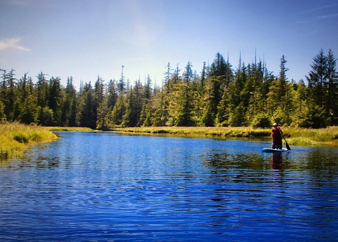 A paddleboarder on the Kapoose Creek estuary