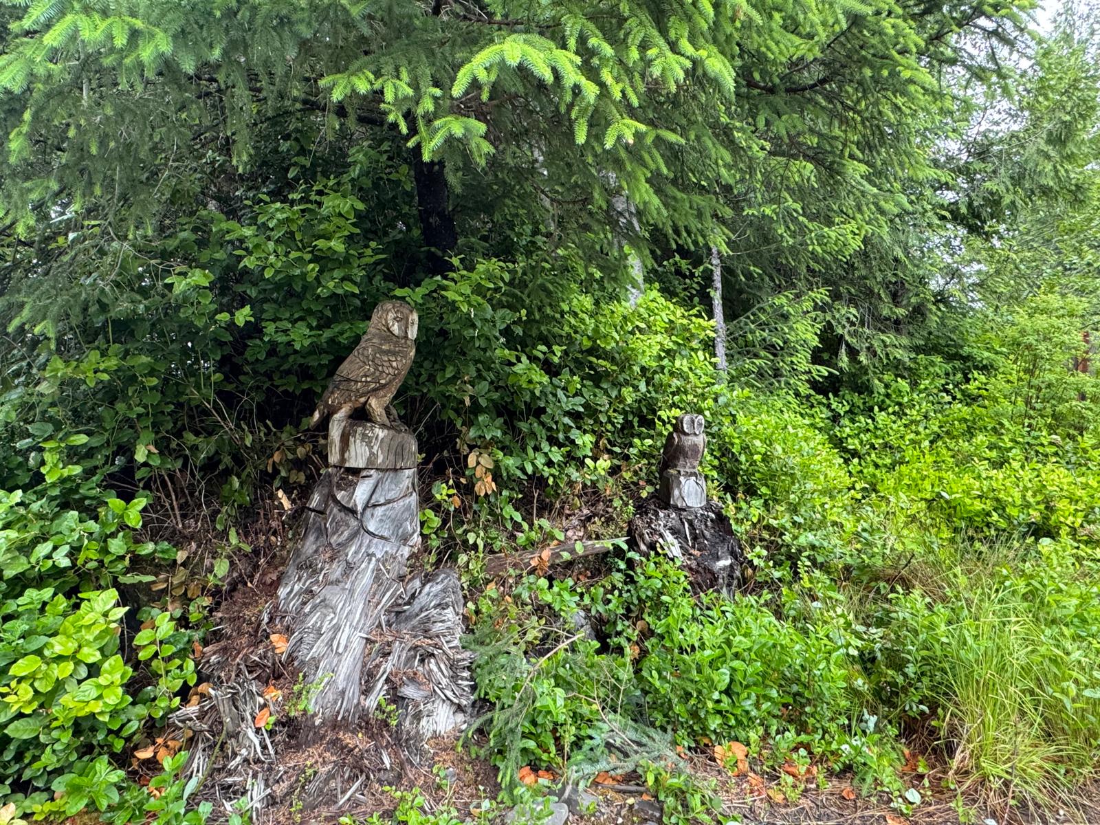Carved wooden owls beside the forest path near the station